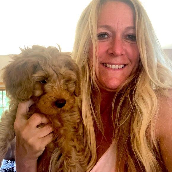 Meet your Posher, Katie - Picture 1 of 1